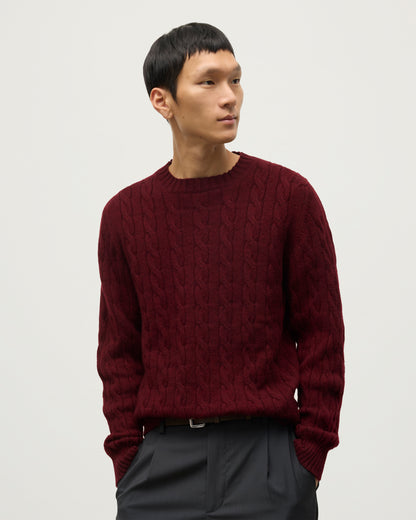 Johnstons of Elgin Men's 100% Cashmere Cable Sweater in Deep RedKAA05754HE7068