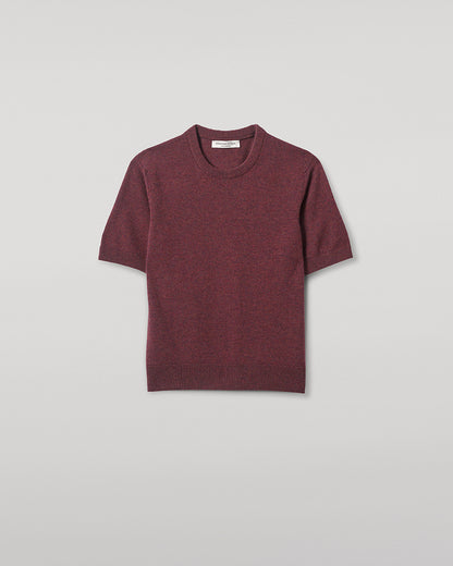 Johnstons of Elgin AW25 Women's Knitwear Damson Classic Cashmere Purple T-shirt Close Up KAP05574HE7064