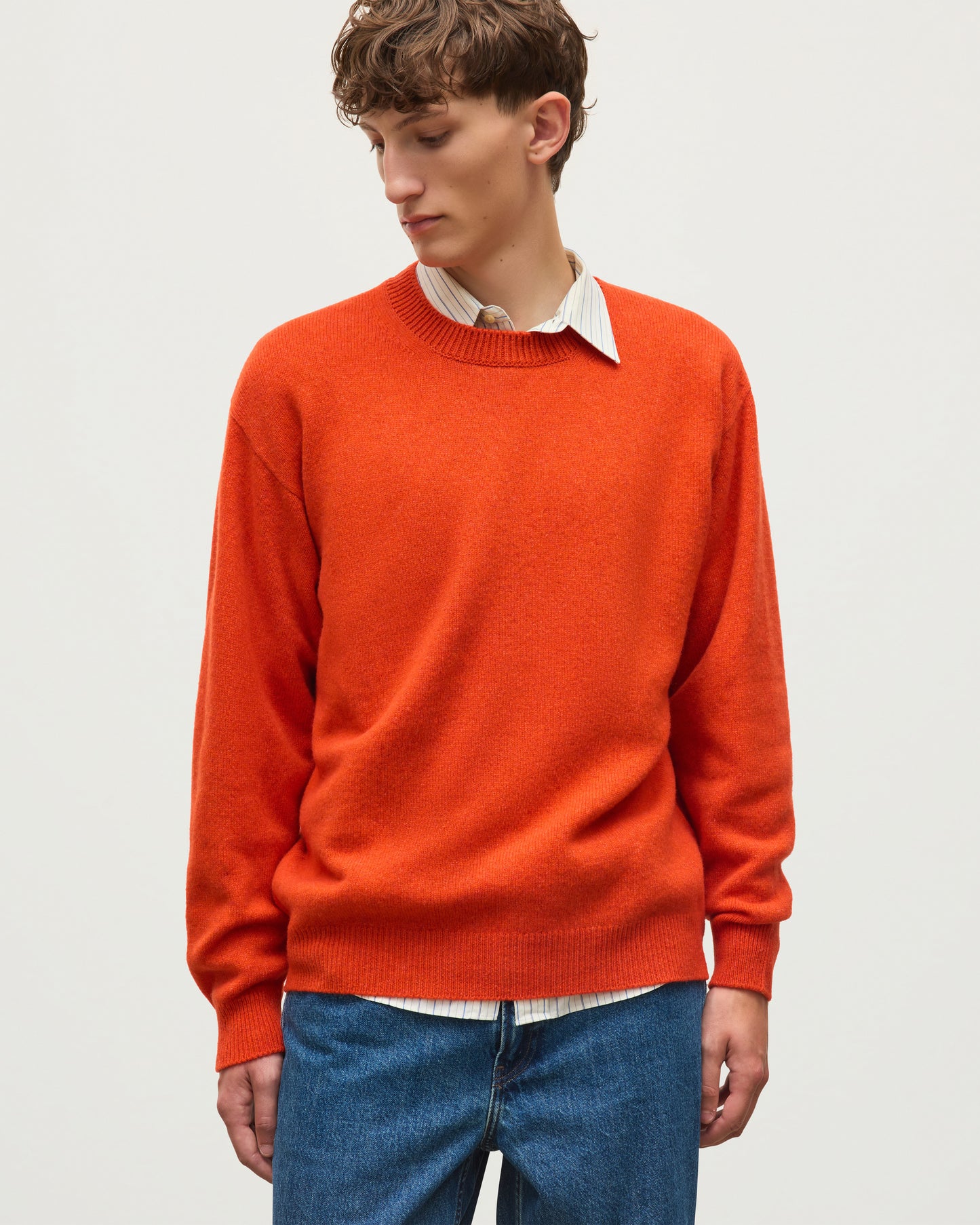 JOHNSTONS OF ELGIN CRAIGIE CREW SWEATER LAMBSWOOL CREW NECK SWEATER RED 100% LAMBSWOOL KDA00815HE4391